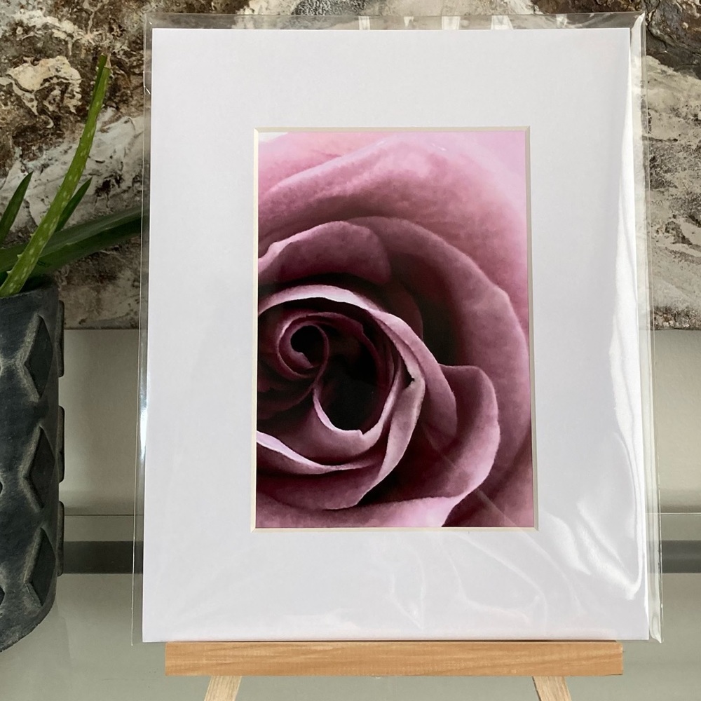 ❌SOLD❌BELLA DONNA” ~ ORIGINAL ART by ~ @lisamichellebeckerphotography - Picture 10 of 14